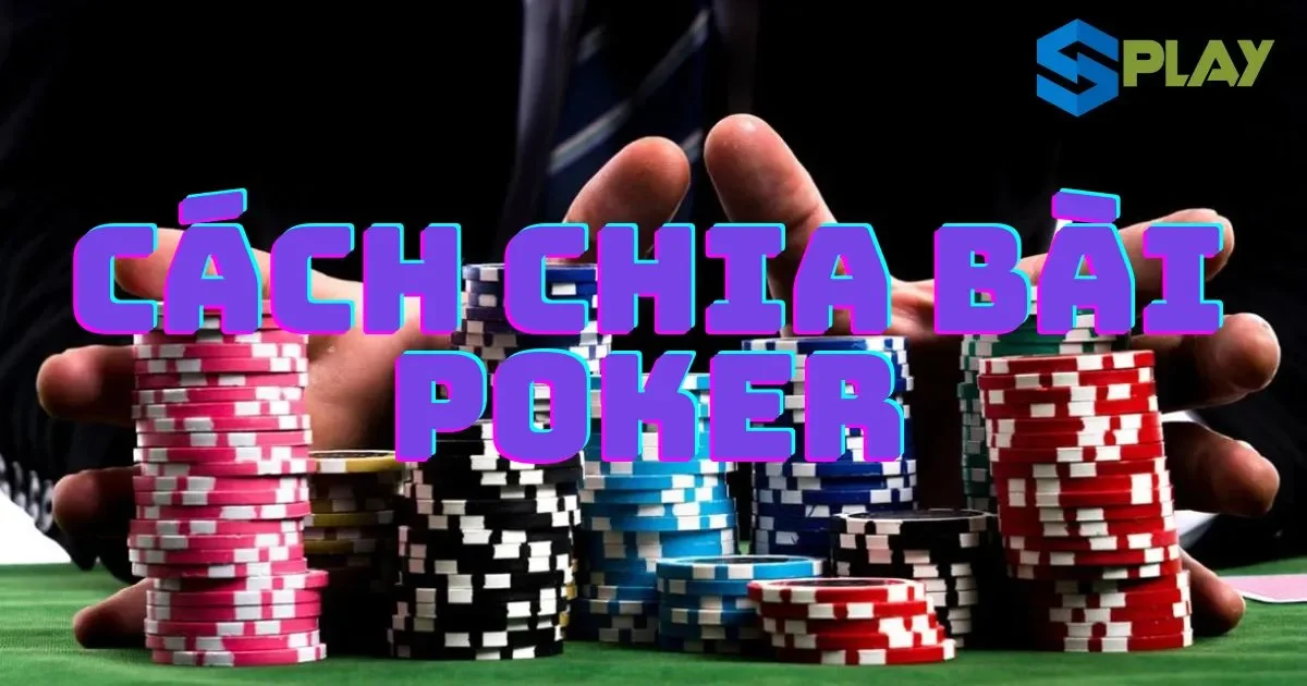 Hướng dẫn cách chia bài poker cho người mới chơi