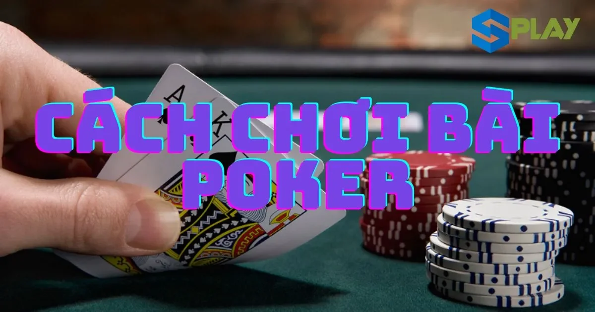 Hướng dẫn cách chơi bài poker cho người mới bắt đầu