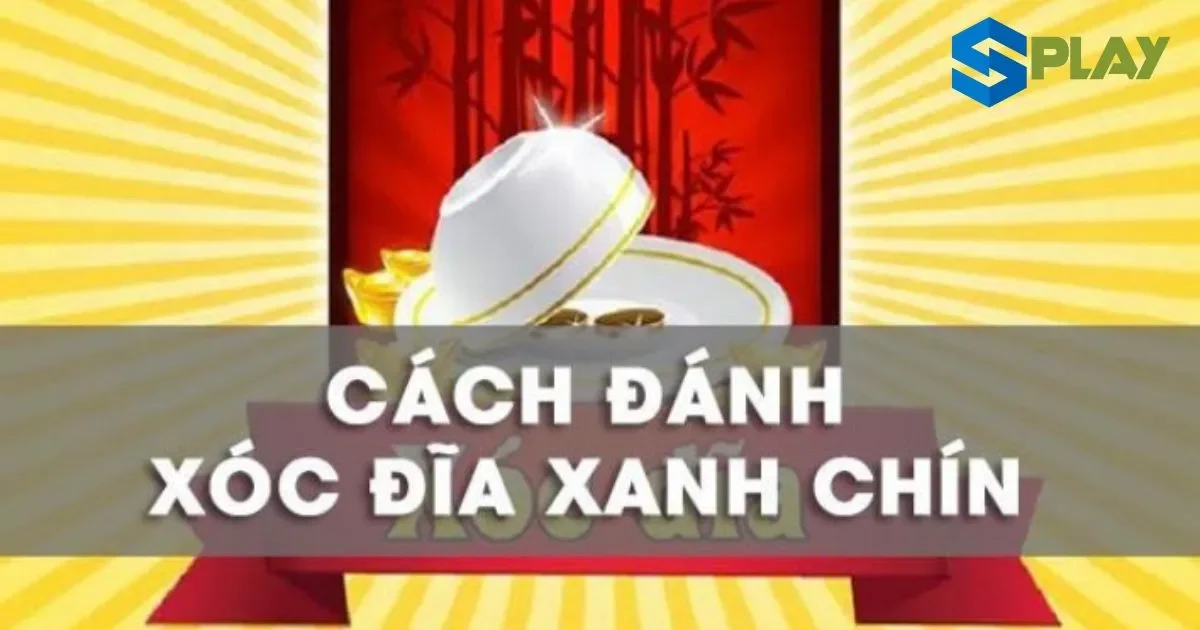 Hướng dẫn cách xóc đĩa xanh chín hiệu quả